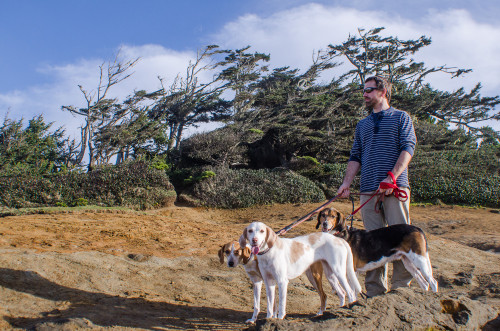 HIking with dogs at Cape Kiwanda in Pacific City