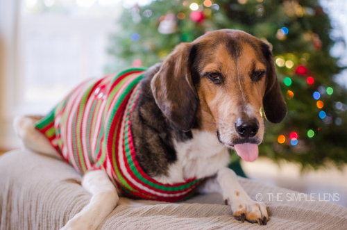 christmasblooper-10