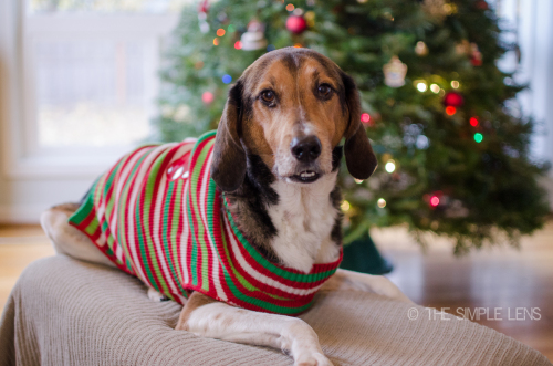 christmasblooper-9